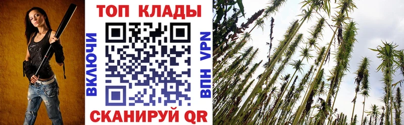 Купить Псилоцибиновые грибы  Меф  А ПВП  ГАШИШ  COCAIN  Сураж
