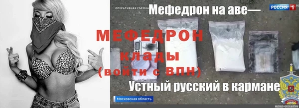 трава Няндома