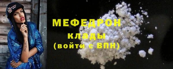 трава Няндома