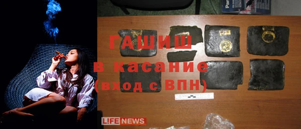 трава Няндома