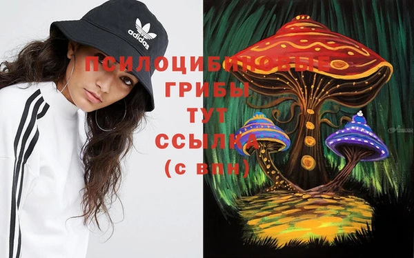 гидропоника Нягань