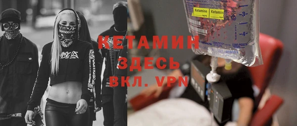 трава Няндома