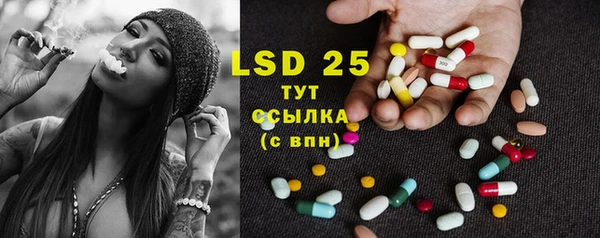 трава Няндома