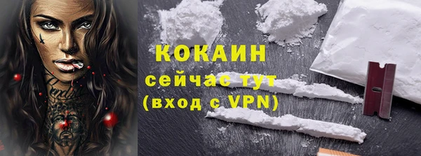 трава Няндома