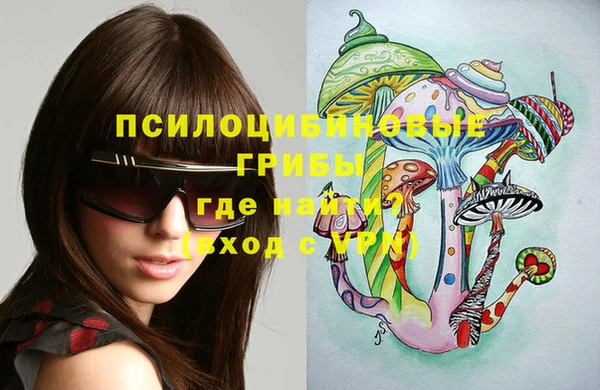 трава Няндома