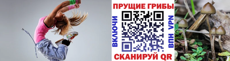 Галлюциногенные грибы GOLDEN TEACHER  Купить закладки  Сураж 